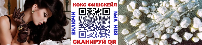 Cocaine FishScale  Купить закладки  Козловка 