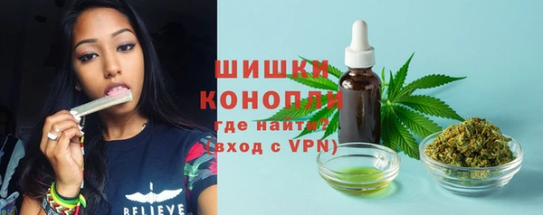 дмт Дмитров
