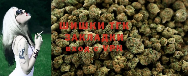 дмт Дмитров